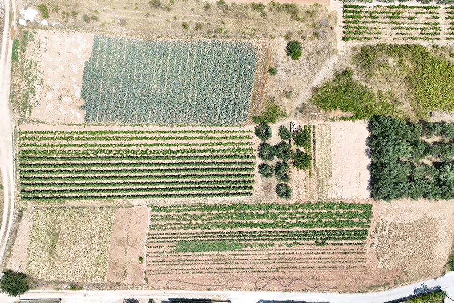 Terreno edificabile vicino al centro di Traù