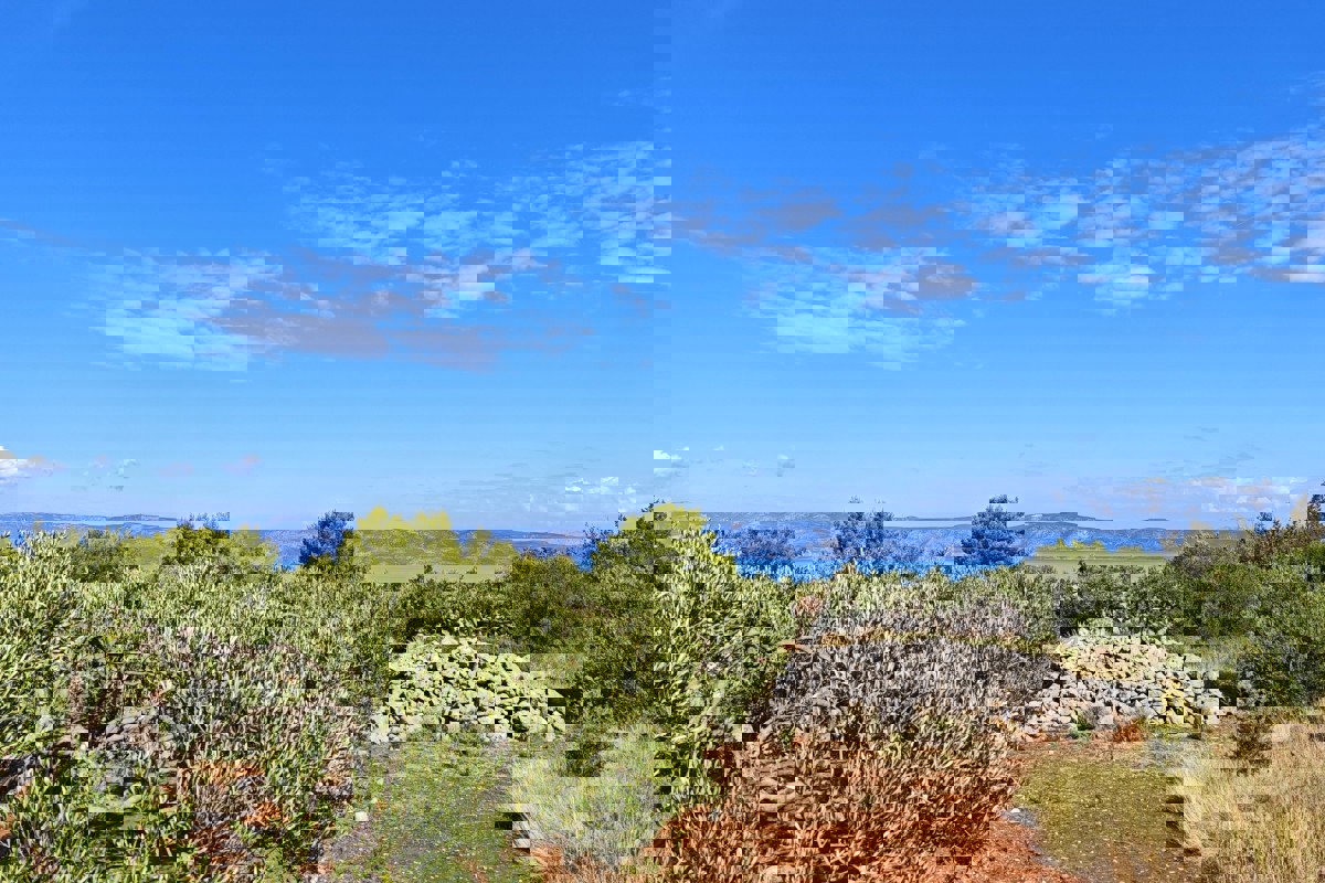 Terreno agricolo con edificio in pietra - prima fila al mare