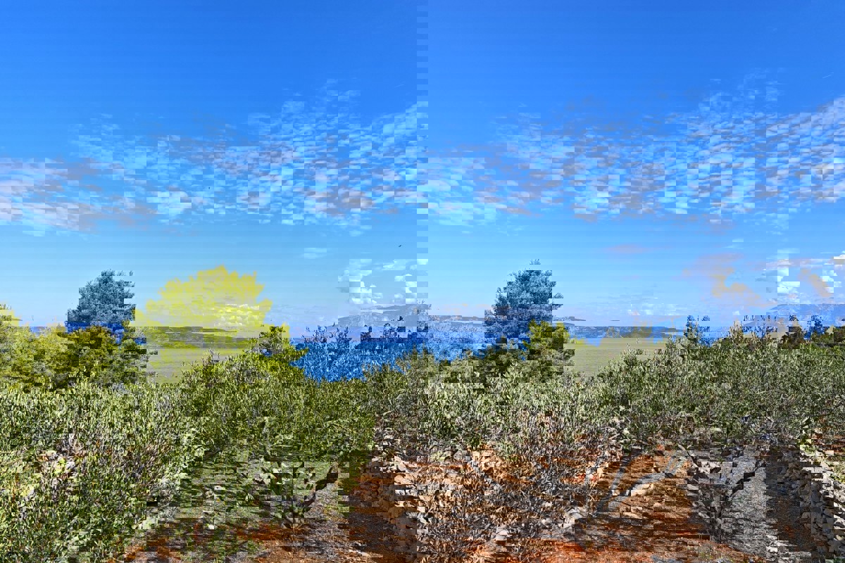 Terreno agricolo con edificio in pietra - prima fila al mare