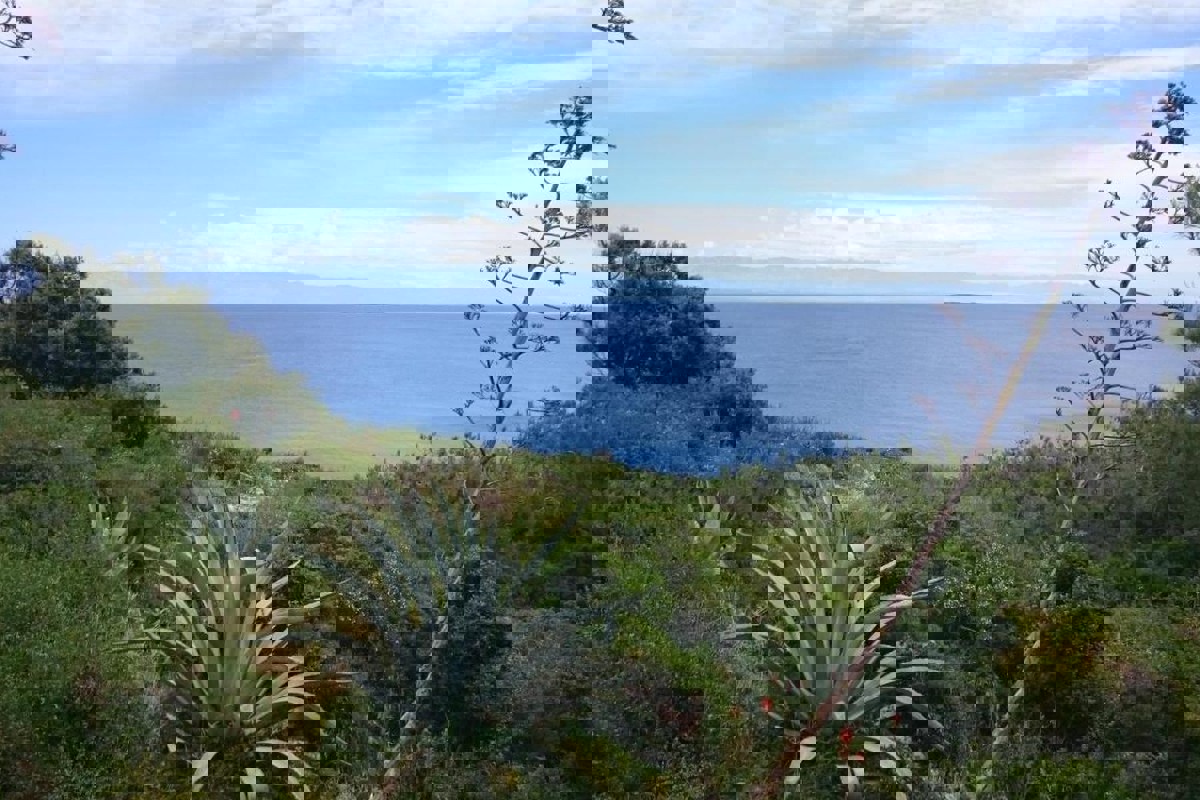 Casa in posizione tranquilla vicino al mare