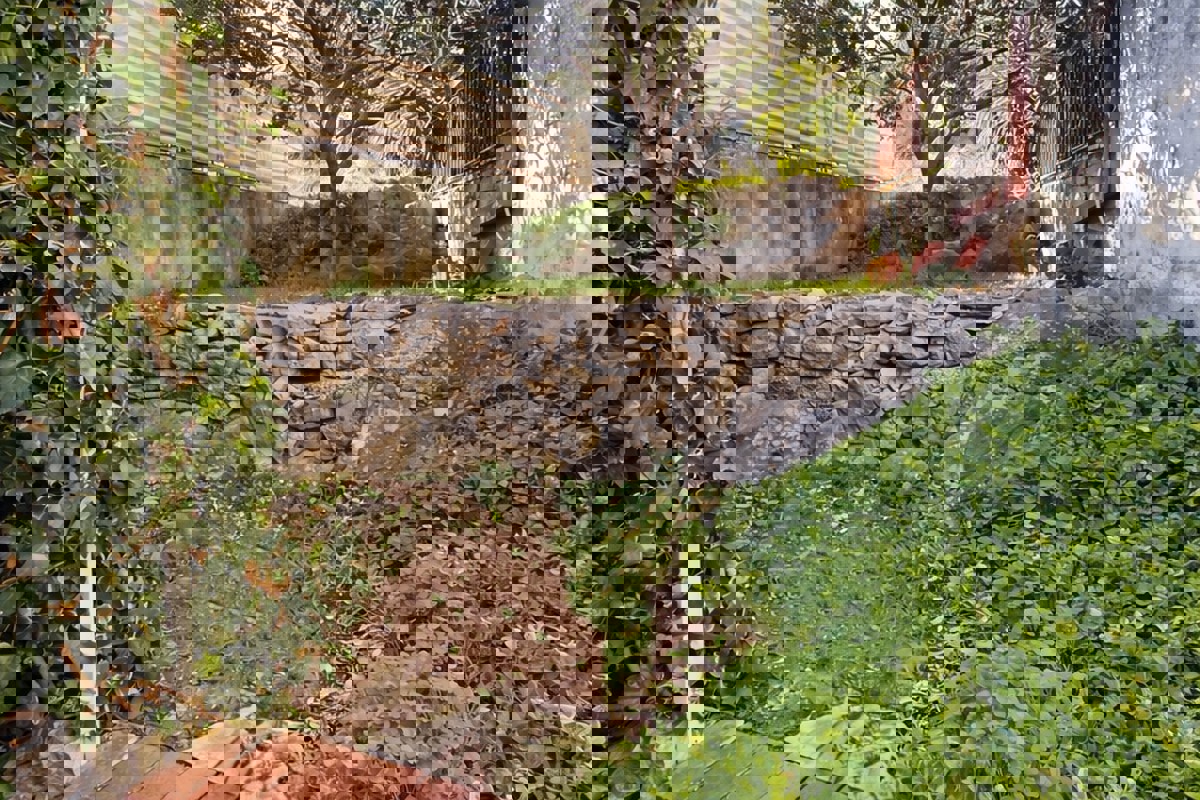 Casa in pietra ristrutturata con cortile, parcheggio e dependance