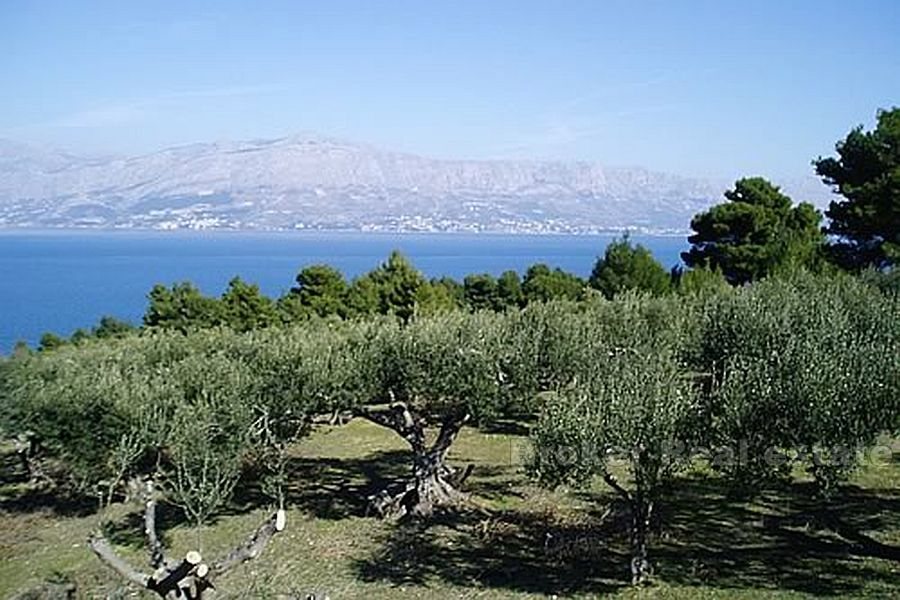 Terreno con vista mare