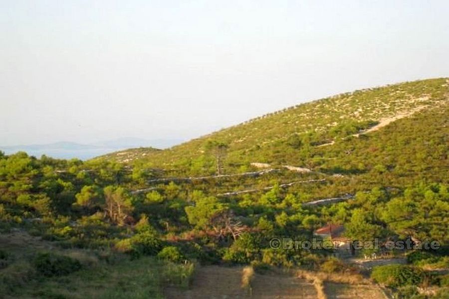 Terreno agricolo, in vendita