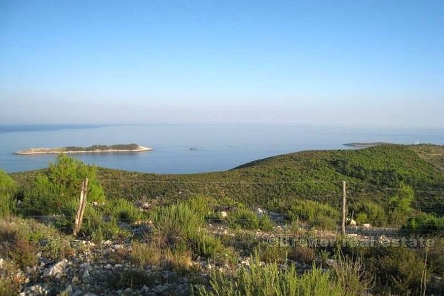 Terreno agricolo, in vendita