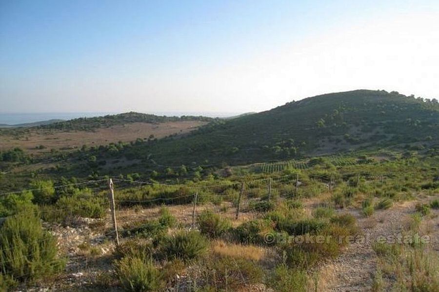 Terreno agricolo, in vendita