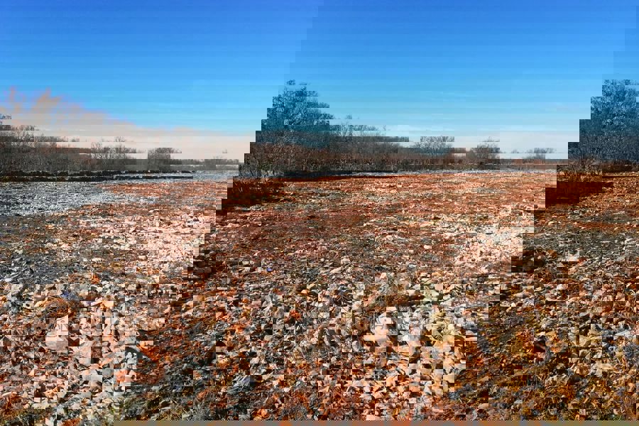 Terreno edificabile nell'entroterra
