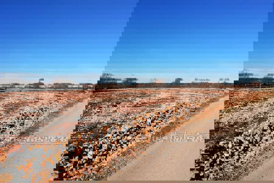 Terreno edificabile nell'entroterra