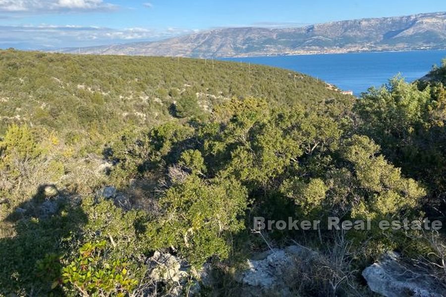 Terreno agricolo vicino al mare