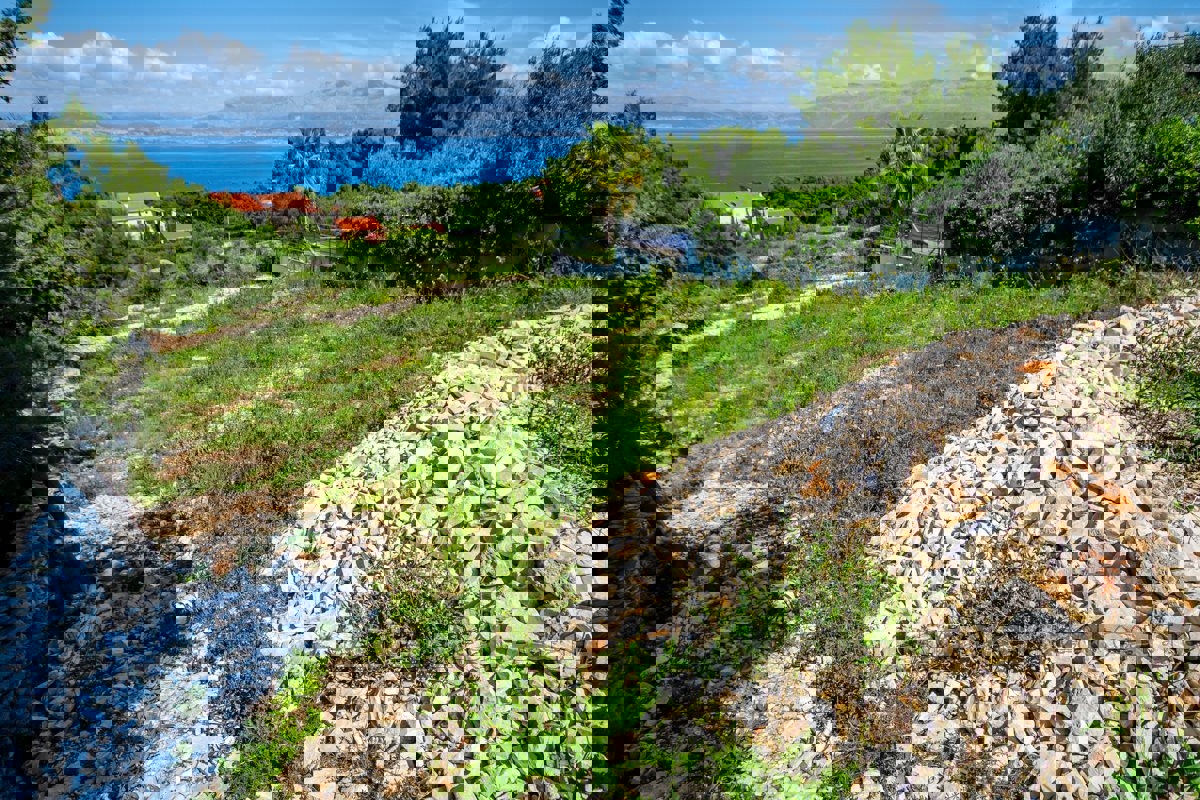 Terreno edificabile con permesso di costruire