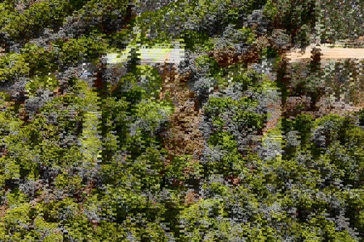 Terreno con vista mare e concessione edilizia