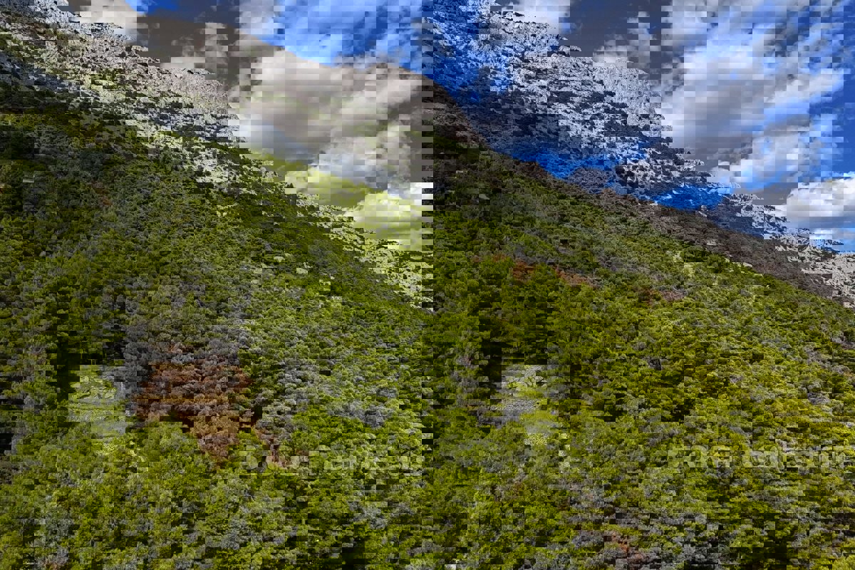 Terreno con vista mare e concessione edilizia