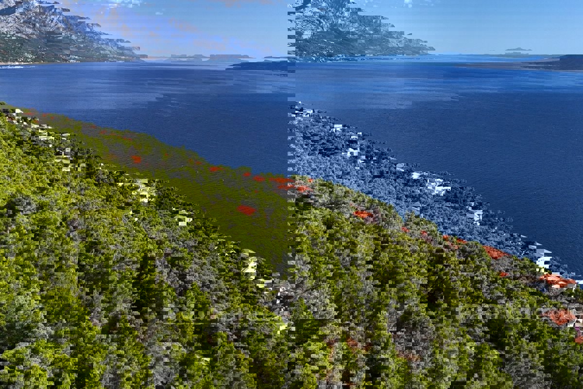 Terreno con vista mare e concessione edilizia