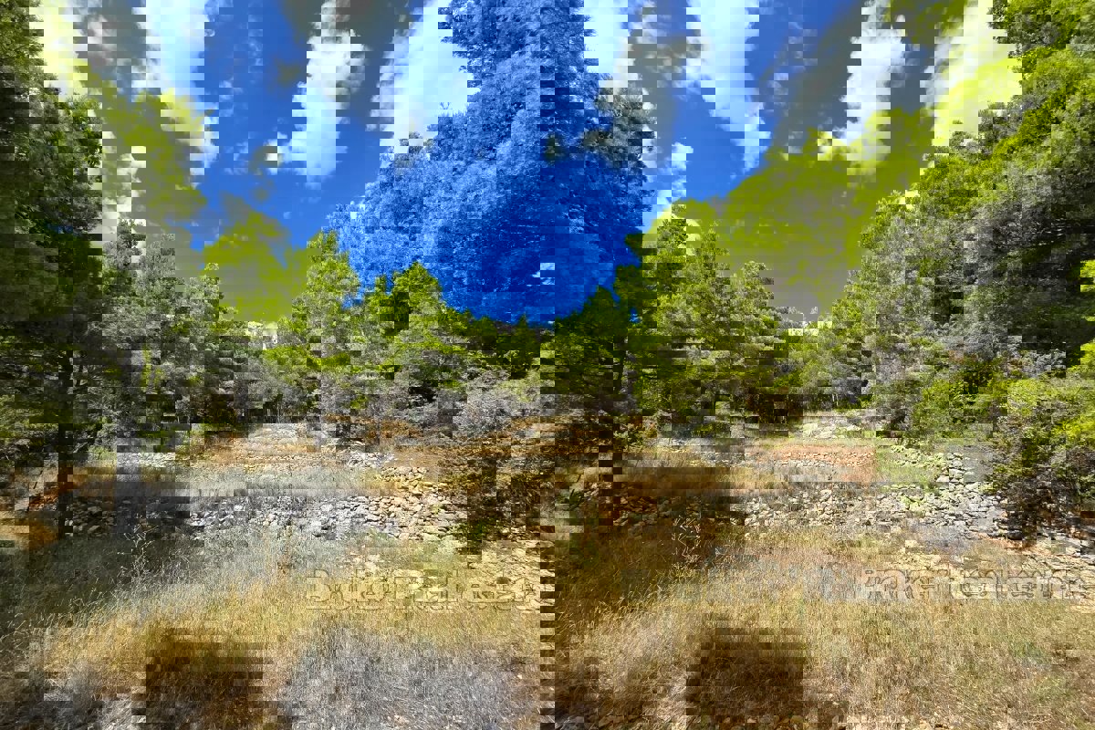 Terreno con vista mare e concessione edilizia