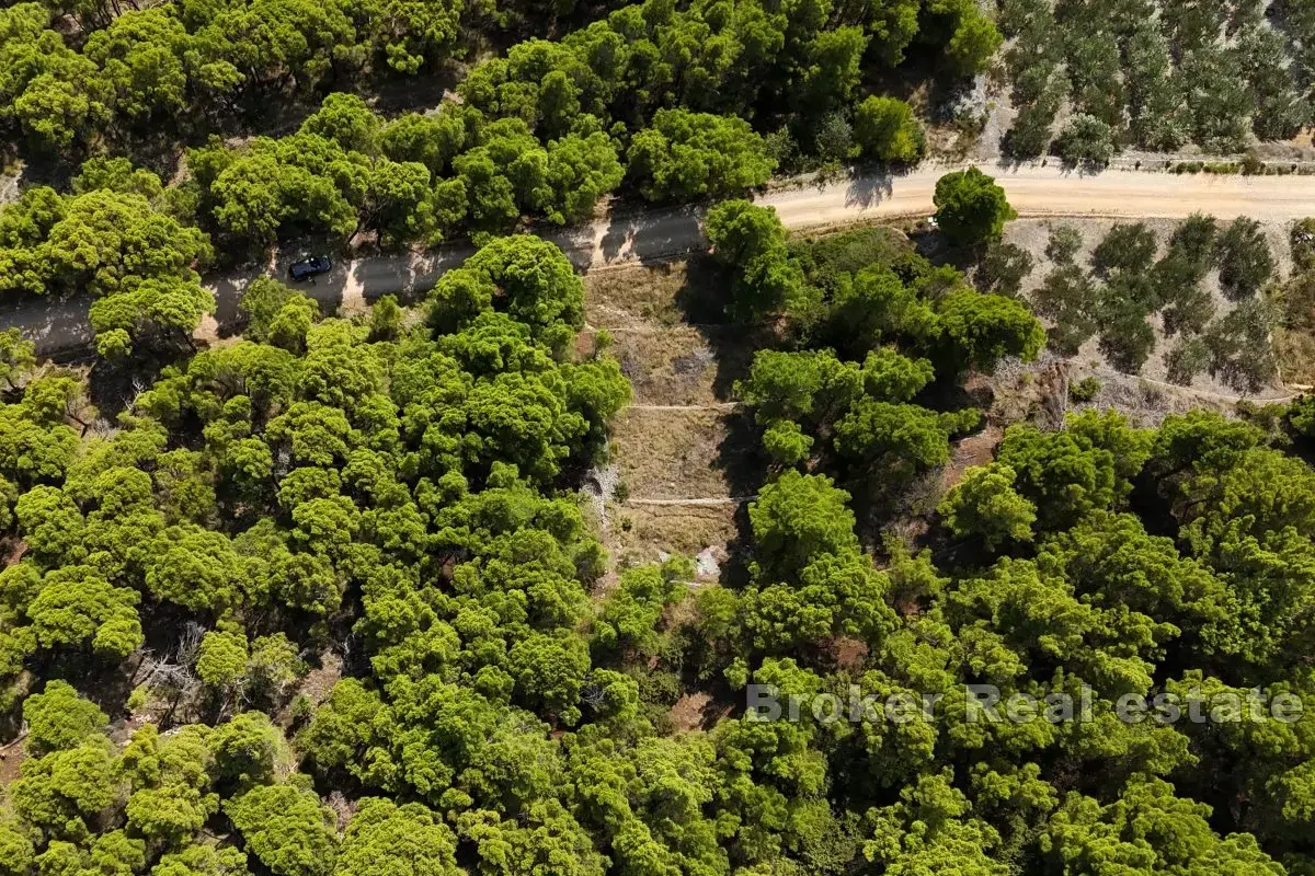 Terreno con vista mare e concessione edilizia