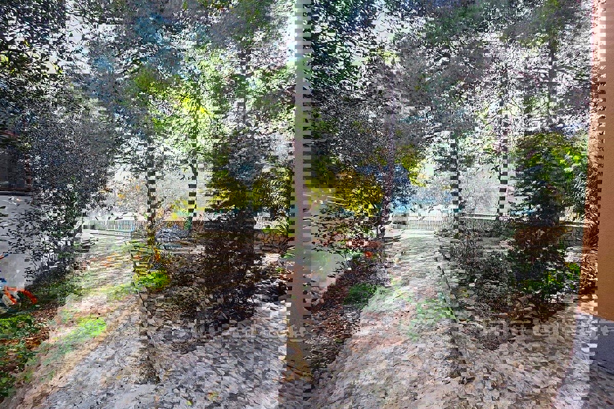 Casa prima fila al mare