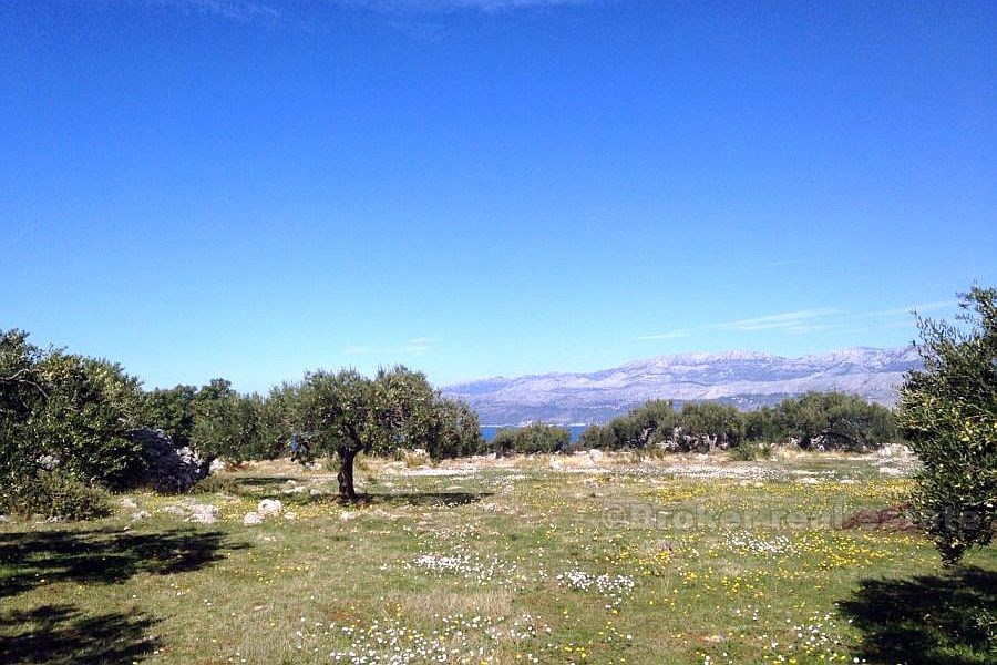 Terreno agricolo, in vendita