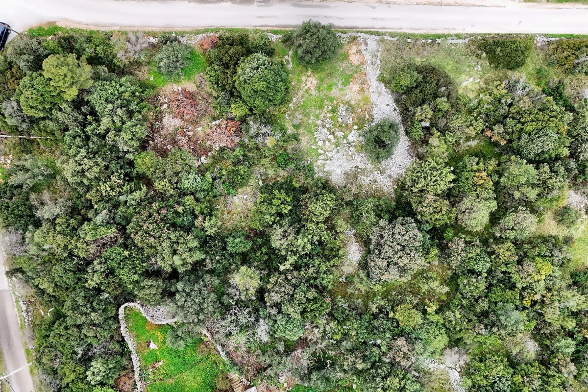 Terreno edificabile in un tranquillo ambiente mediterraneo