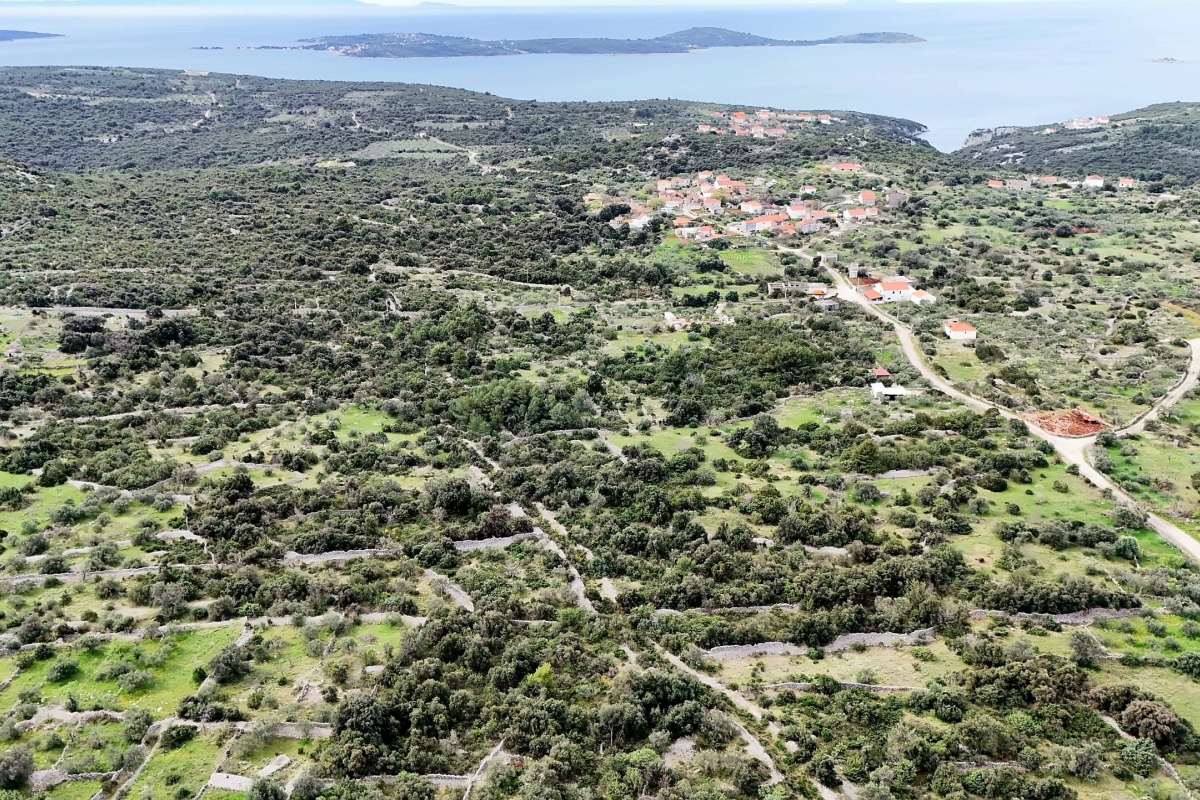 Terreno edificabile in un tranquillo ambiente mediterraneo