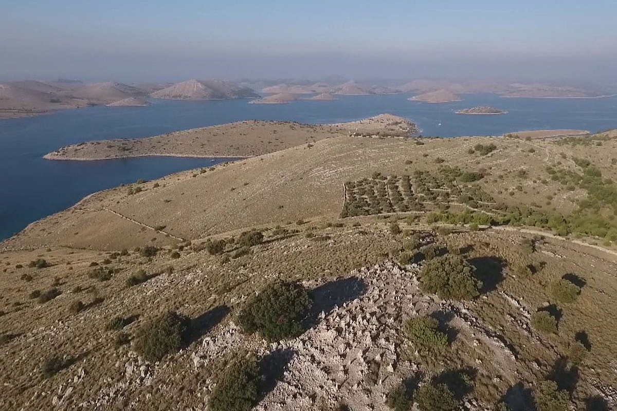 Ampio terreno agricolo prima fila al mare