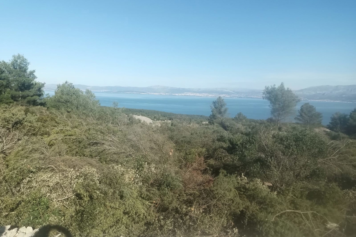 Terreno agricolo con vista mare