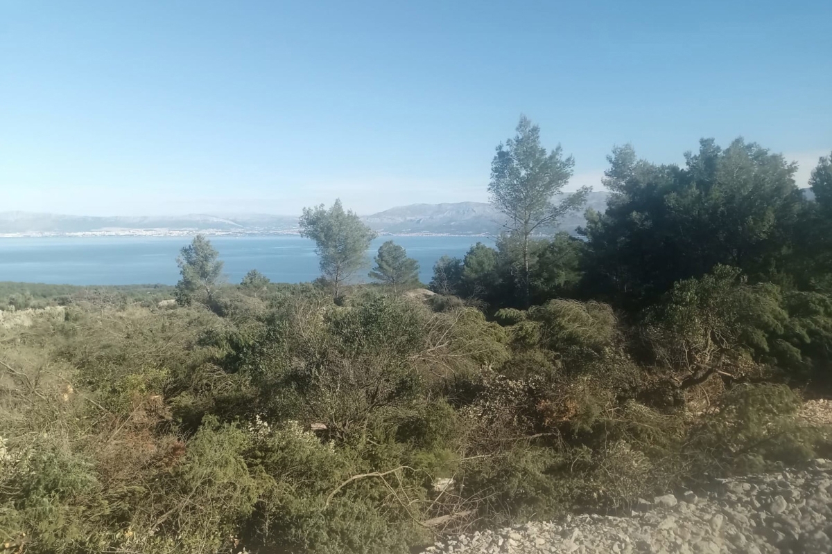 Terreno agricolo con vista mare
