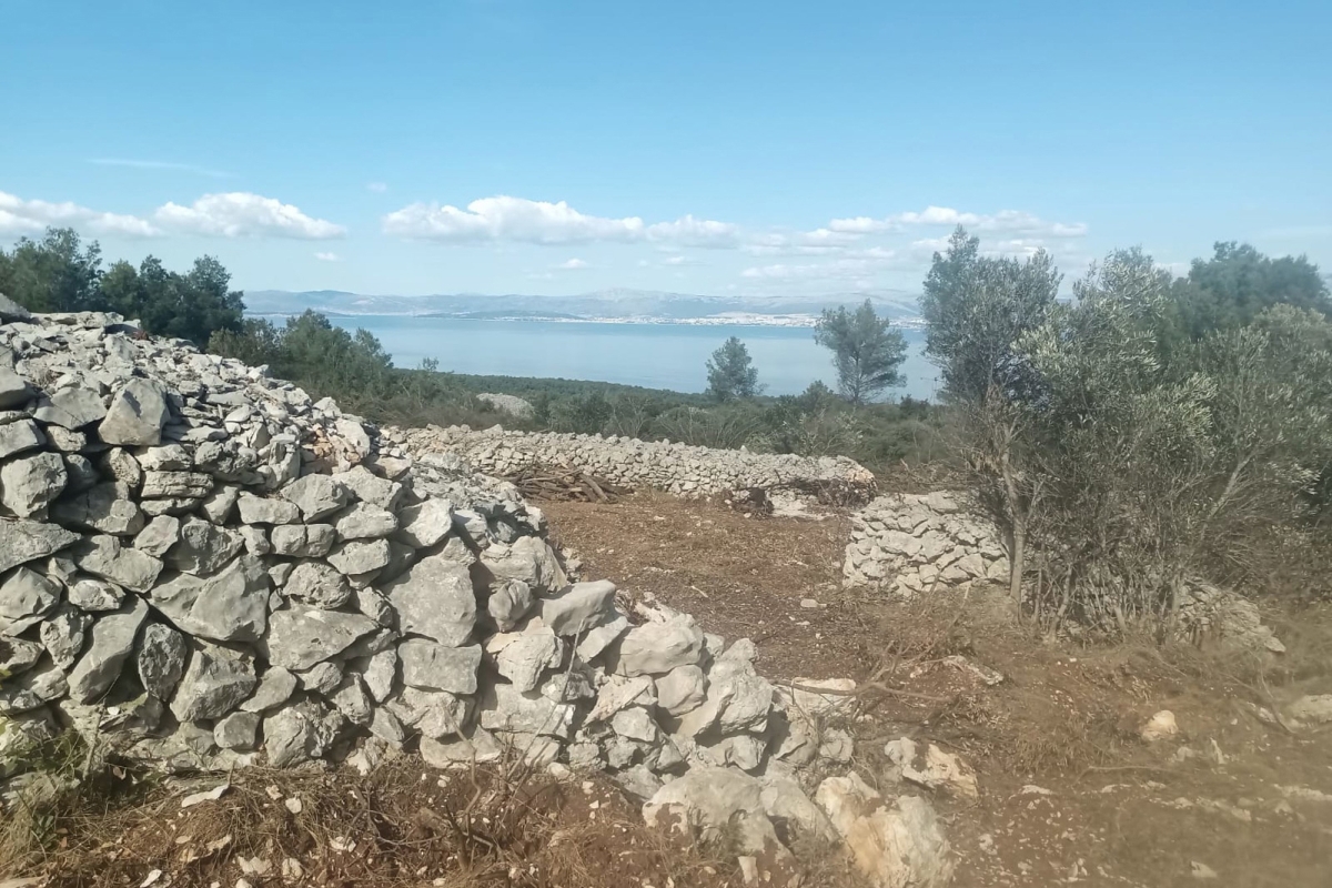 Terreno agricolo con vista mare