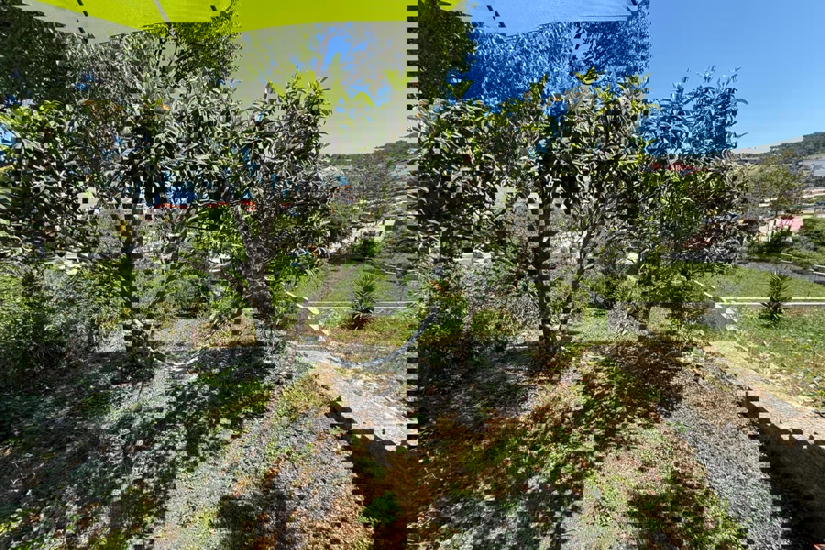 Casa da ristrutturare su ampio terreno