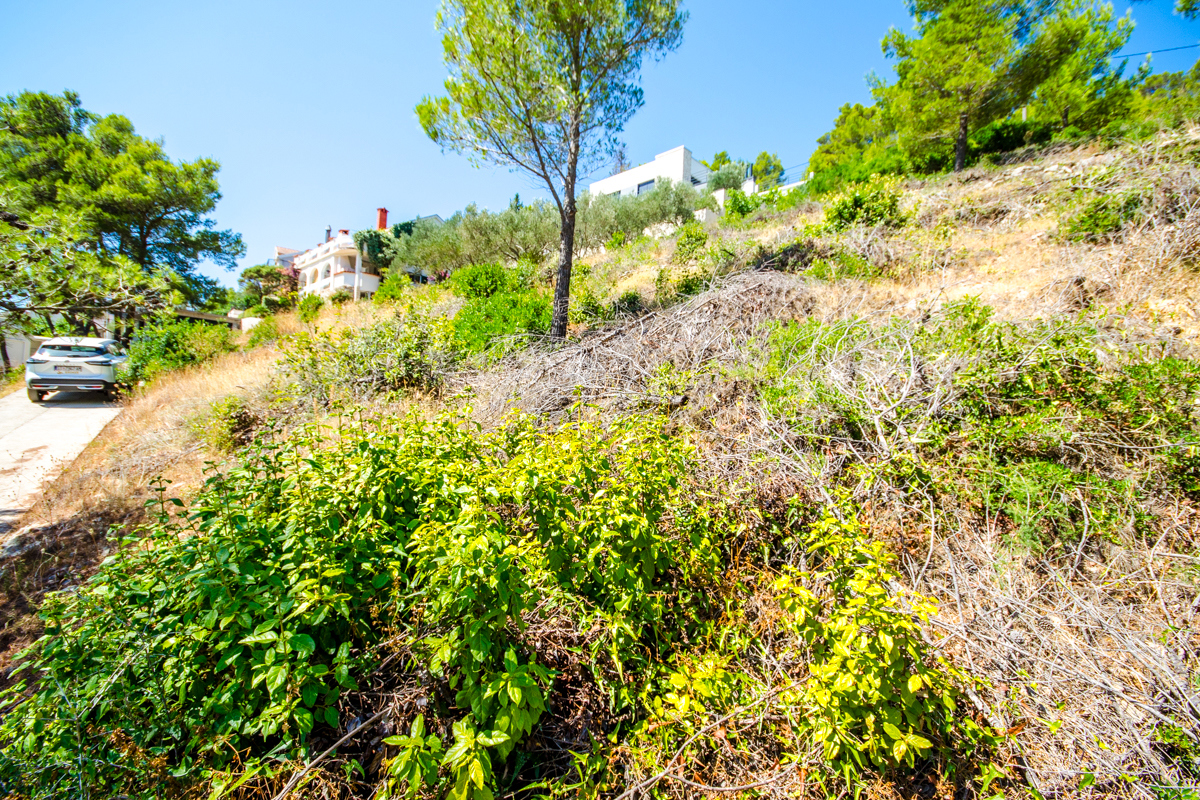 Terreno edificabile in prima fila sul mare