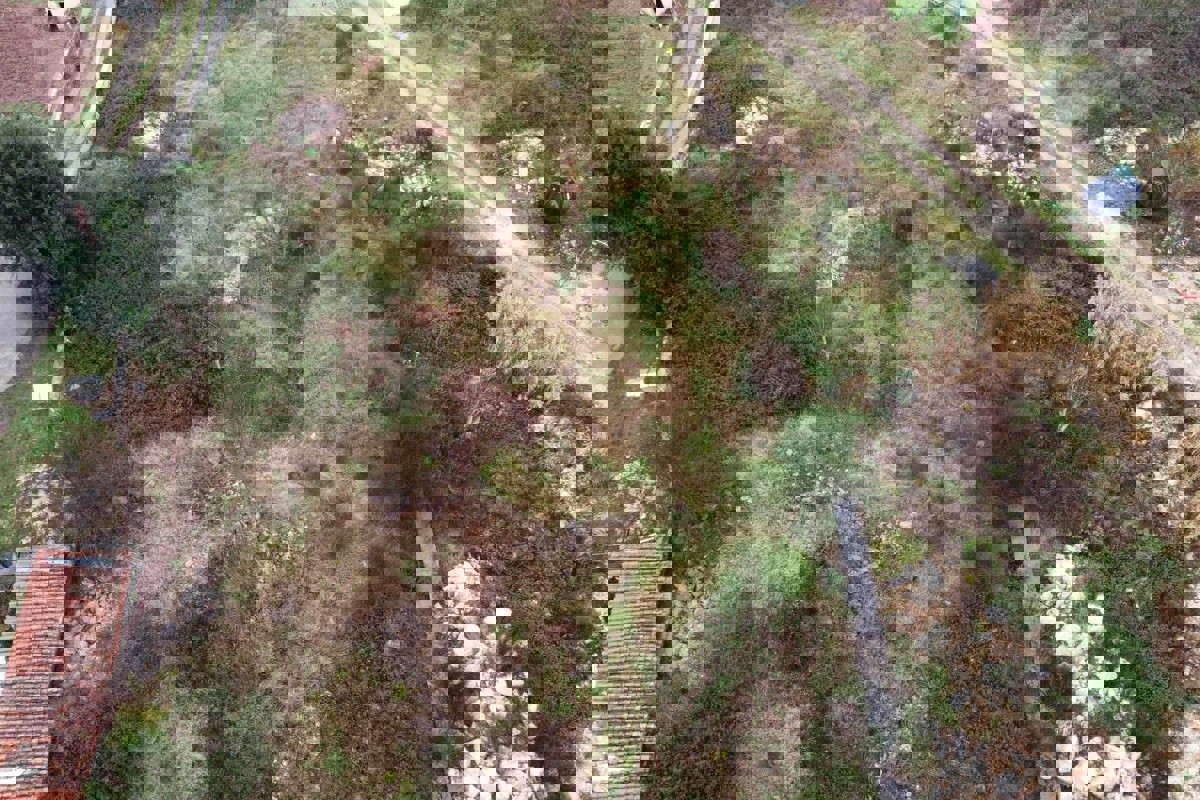 Terreno edificabile con vista mare