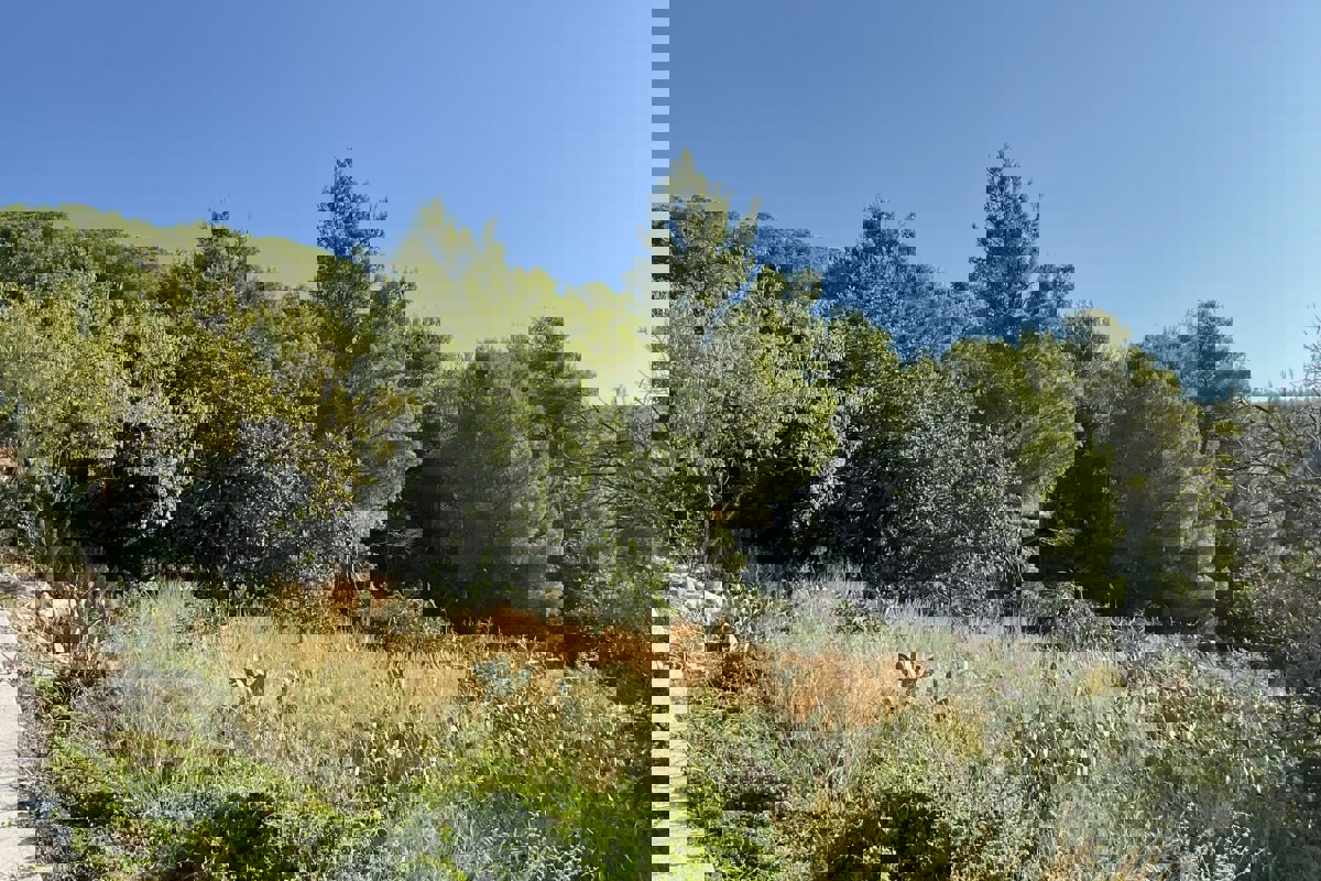 Terreno con vista mare