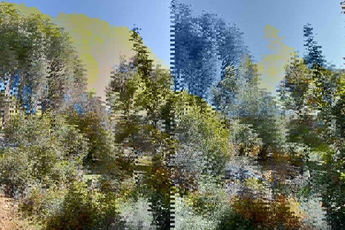 Terreno con vista mare