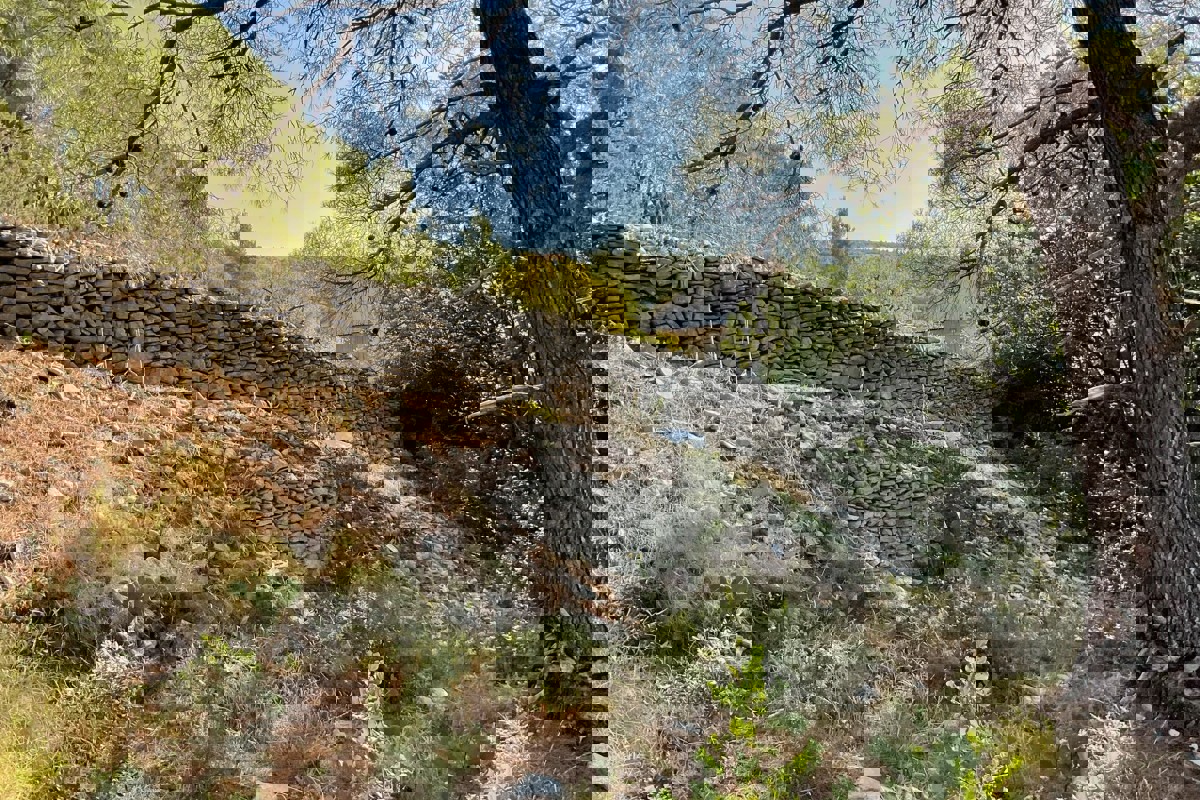 Terreno con vista mare