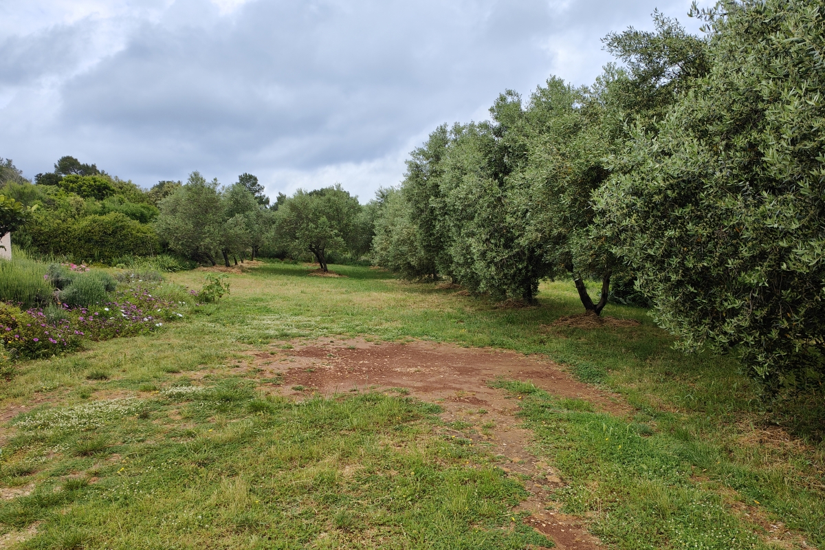 Terreno edificabile vicino al mare