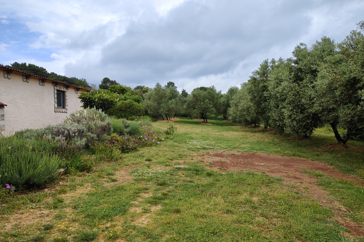 Terreno edificabile vicino al mare