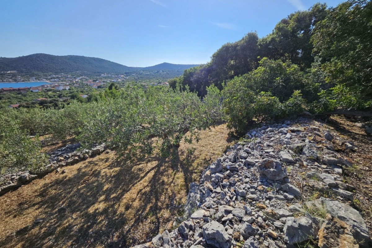 Terreno con vista mare