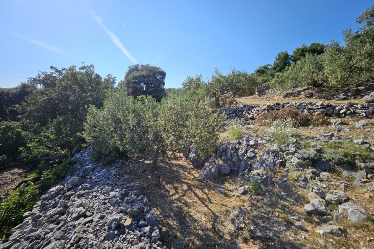 Terreno con vista mare