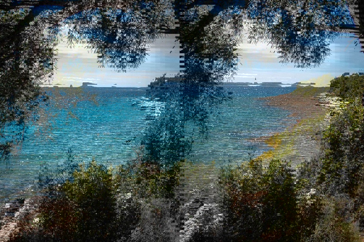 Immobile in prima fila sul mare