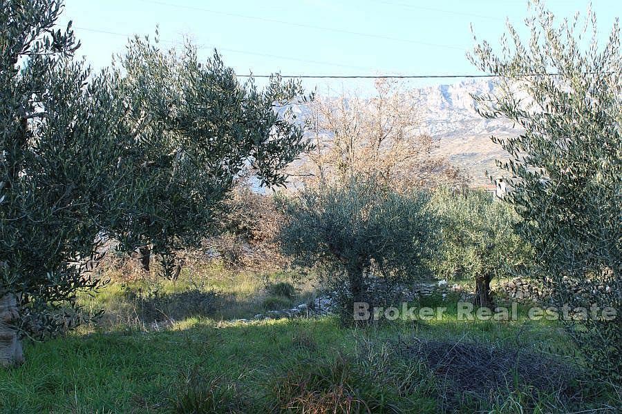 Terreno edificabile con vista mare