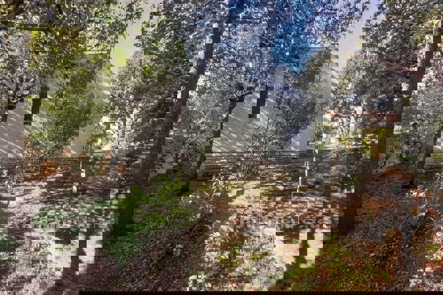 Piano terra da ristrutturare vicino al mare