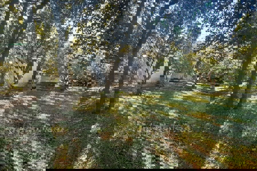 Piano terra da ristrutturare vicino al mare