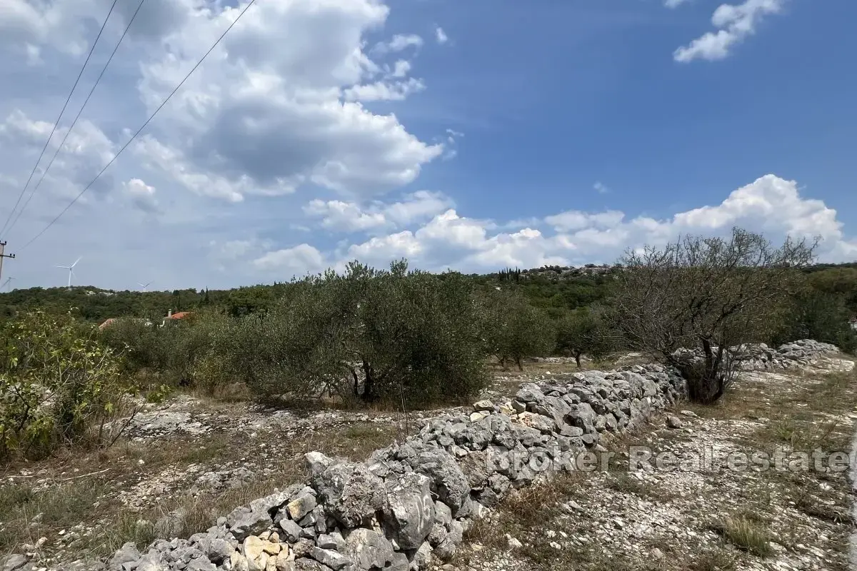 Ampio terreno edificabile in una zona tranquilla della città