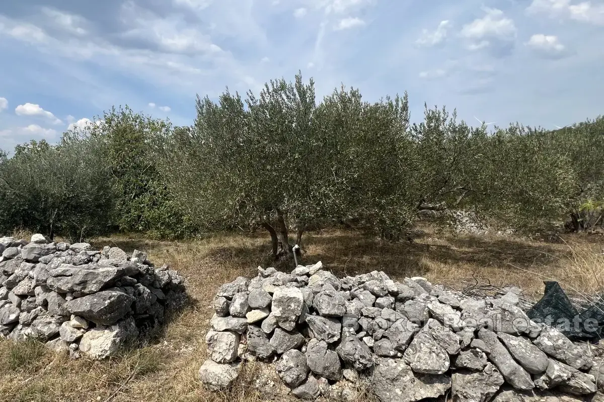 Ampio terreno edificabile in una zona tranquilla della città