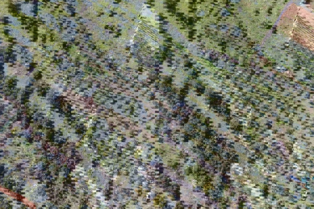 Un terreno spazioso vicino al mare
