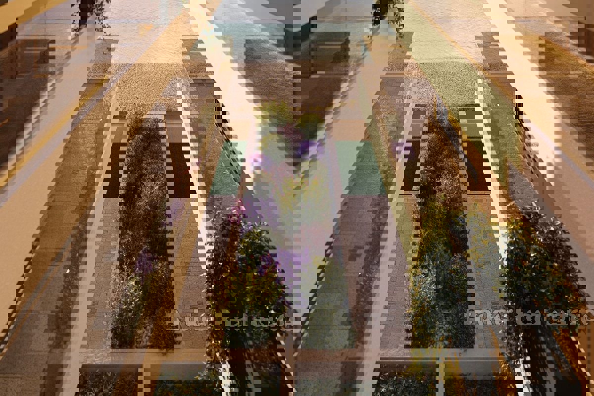 Appartamenti di lusso in prima fila sul mare