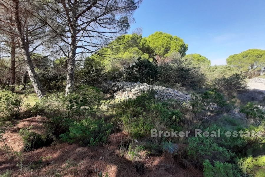 Terreno edificabile con vista mare