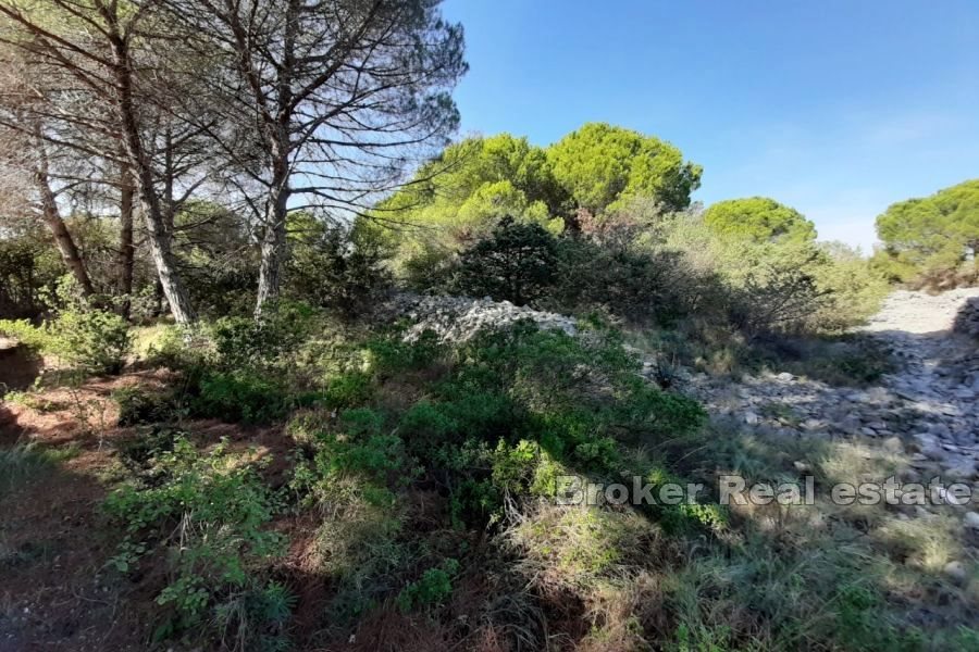 Terreno edificabile con vista mare