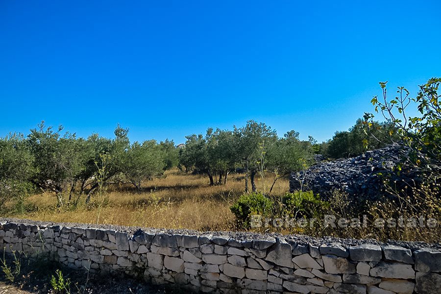 Terreno edificabile con vista mare