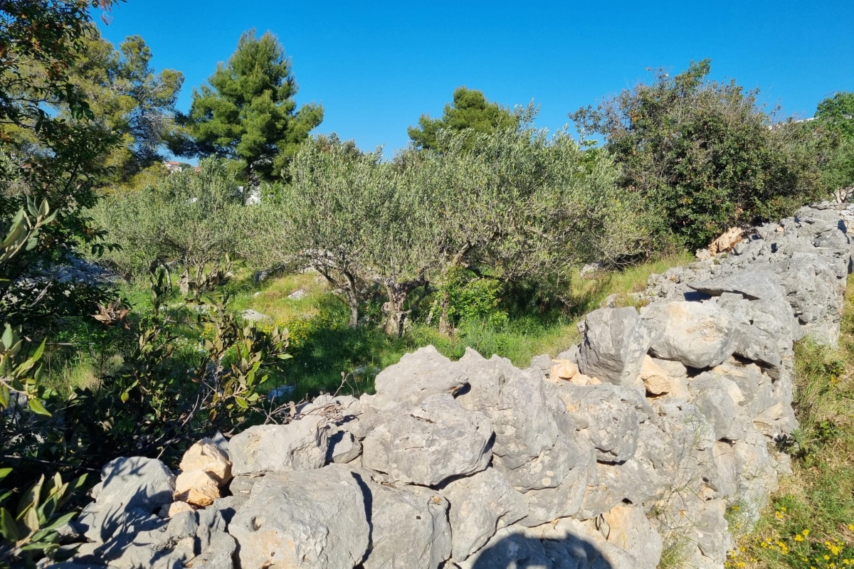 Terreno edificabile attraente vicino al mare