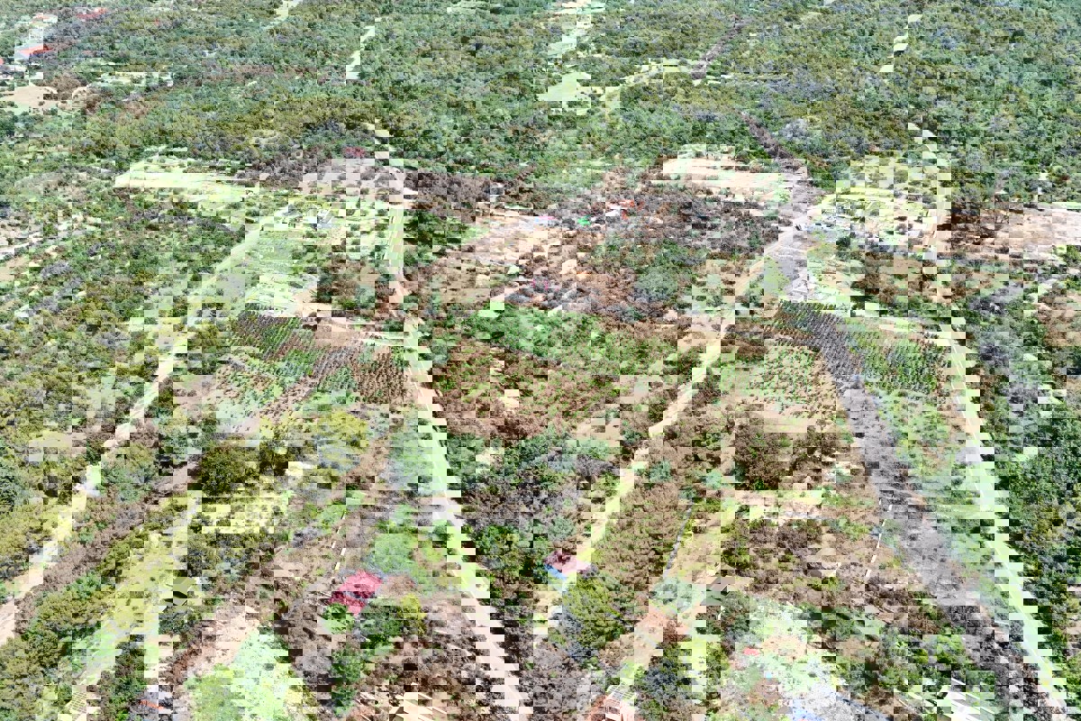 Terreno edificabile con progettazione concettuale