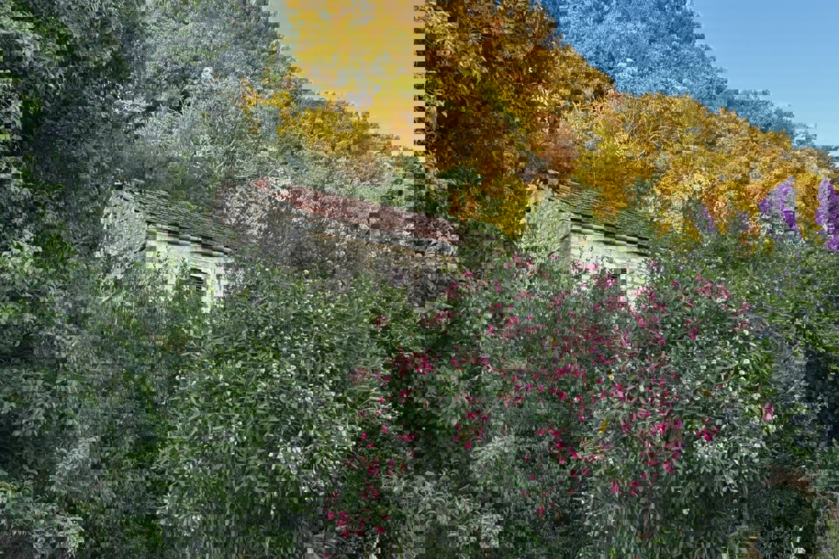 Casa bifamiliare in pietra da ristrutturare